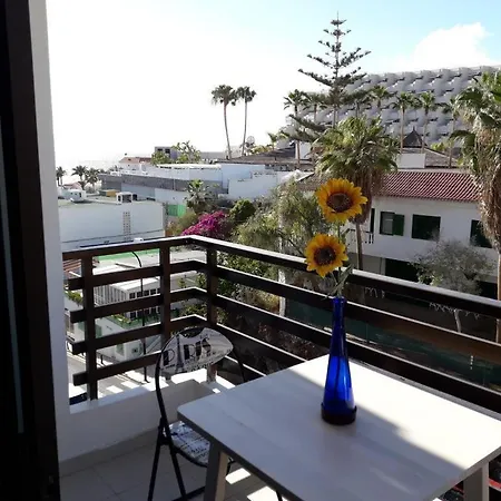 100 Meters From The Beach. *